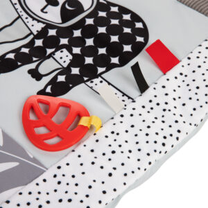 Tummy Time BabiesBoo educational mat